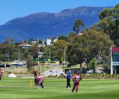 Image result for Bures and District Cricket Club