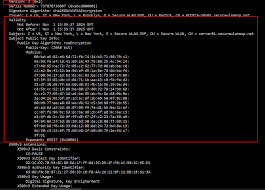 Image result for %EF%BC%92%EF%BC%90%EF%BC%90%EF%BC%B6%E3%80%80%EF%BC%93%E6%9C%AC%E3%