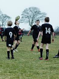 Image result for Holt R F C