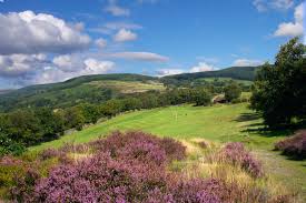 Image result for Mountain Ash Golf Club