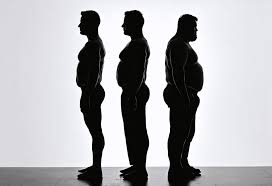 Image result for fat