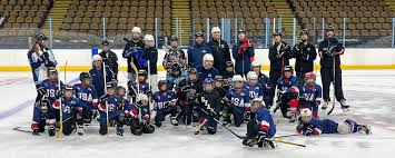 Image result for Adur Skater Hockey Club