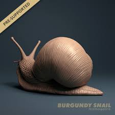 Attēlu rezultāti vaicājumam “Helix pomatia”