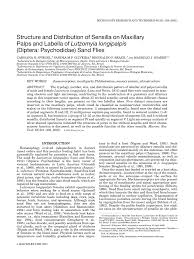 Attēlu rezultāti vaicājumam “Trichia longipalpis”