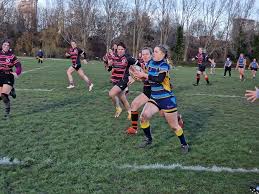 Image result for Thanet Wanderers Rufc