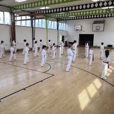 Image result for Haslemere Karate Club