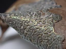 Attēlu rezultāti vaicājumam “Didymium serpula macro”