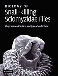 Attēlu rezultāti vaicājumam “Sciomyzidae”