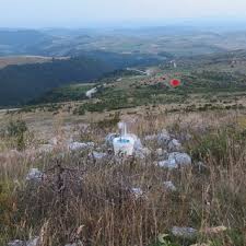 Attēlu rezultāti vaicājumam “Charissa ambiguata”