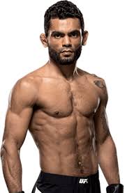 Image result for Wolverine MMA