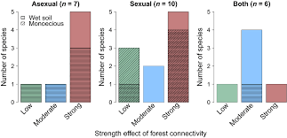 Attēlu rezultāti vaicājumam “Campylophyllum sommerfeltii”
