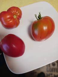 Afbeeldingsresultaat voor erdie family oxheart tomato