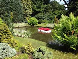 Image result for Arboretum Trompenburg