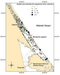 Image result for Leiostomus xanthurus