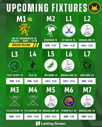 Image result for Norwich City Roller Hockey Club