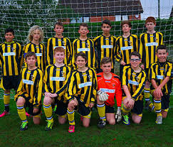 Image result for Wasps Football Club