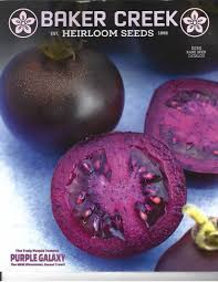 Afbeeldingsresultaat voor 1884 purple tomato