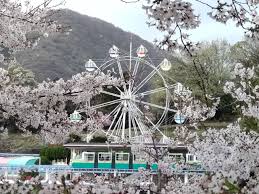 「山田桐生」の画像検索結果