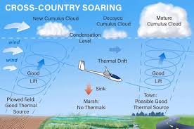 Image result for General Tomfoolery Slope Soarers