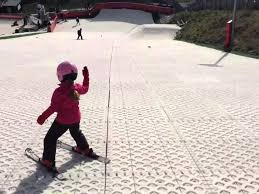 Image result for Uk Dry Ski Slopes