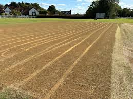 Image result for High Roding Cc