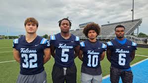 Image result for Team Meridian