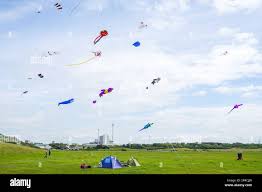 Image result for Kite Club of Scotland