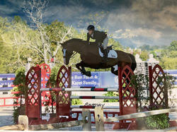 Image result for Reading University Riding Club