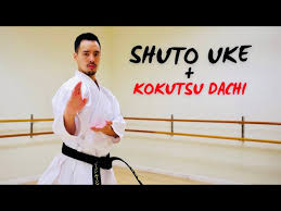 Image result for British Karate Shunen Jutsu