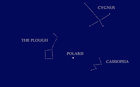 Attēlu rezultāti vaicājumam “Cygnus”