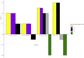 Attēlu rezultāti vaicājumam “Heteromurus nitidus”