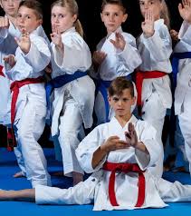 Image result for Backwell Karate
