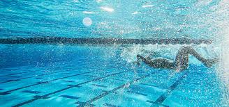 Image result for Cornish Swim Academy