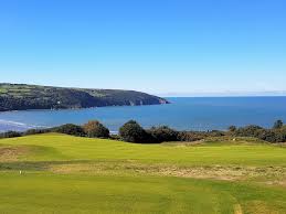 Image result for Cardigan Golf Club