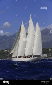 Image result for Xarifa