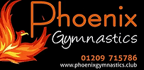 Image result for Phoenix Acro Gymnastics Club