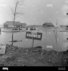 Image result for zeeland 1953