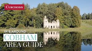 Image result for Cobham