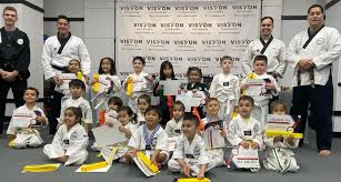 Image result for Vision Martial Arts