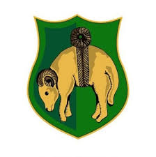 Image result for Littleborough Amateur Rugby League Football Club