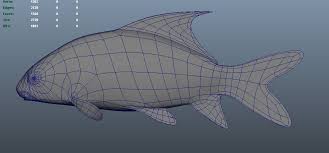 Image result for Carpiodes cyprinus