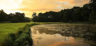 Image result for Kedleston Park Golf Club Ltd