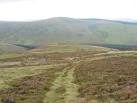 Track up Gled Knoll to Wellgrain Dodd - via Daymix