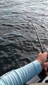 Image result for Bexleyheath and District Sea Angling Society