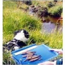 Image result for Stonehaven Canoe Club