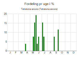 Attēlu rezultāti vaicājumam “Tetratoma ancora”