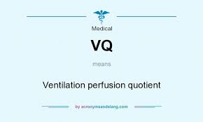 Image result for  v    q
