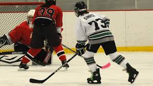 Image result for Golborne Hockey Club