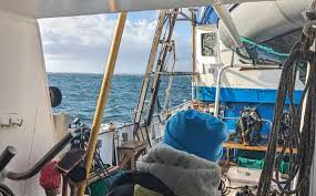 Image result for University Of London Sub-Aqua Club