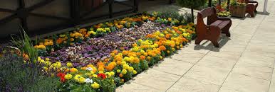 Image result for Chess Vale Bowling Club